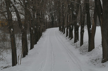 Obraz premium Countryside road amongst trees covered with a lot of snow during winter