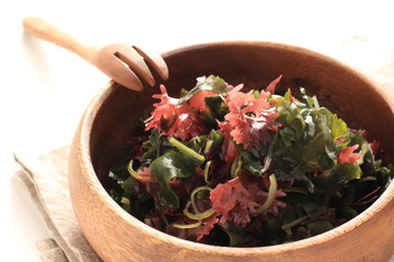 Japanese food, seaweed and agar salad bowl © jreika