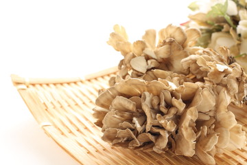 Japanese fungus, Maitake mushroom
