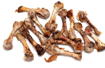 chicken bones on a white background