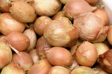 onion round a lot