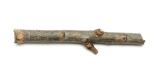 knot of wood stick on white background