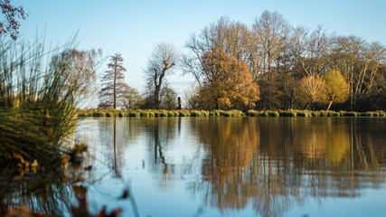 Fototapeta na wymiar A peaceful, calm lake at sunrise in Richmond Park, London 