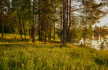 Summer sunset on the Bank of the quarry. The fading light of the sun.