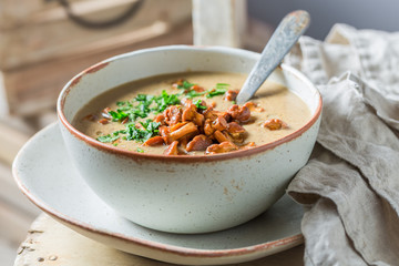 Closeup of mushrooms soup made of fresh chanterelles