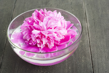 Obraz na płótnie Canvas floating flower at aroma bowl on black wooden table