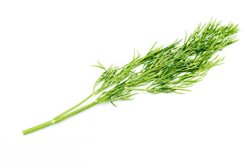sprig of green dill on white background