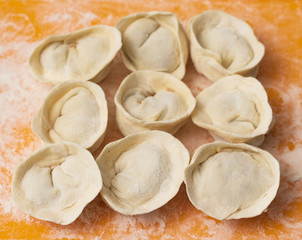 Fototapeta na wymiar frozen dumplings on the field in flour