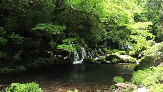 新緑の元滝伏流水　滝　自然　秋田県