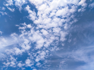 初夏　夏　雲