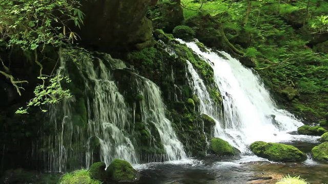 新緑の元滝伏流水　滝　自然　秋田県