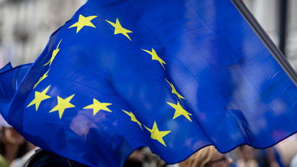 European Union Flag