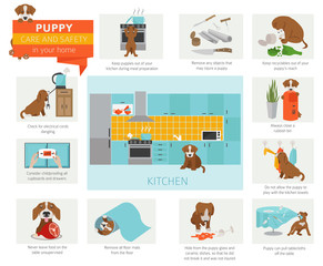 Puppy care and safety in your home. Kitchen. Pet dog training infographic design
