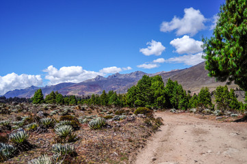 mountain landscape in merida venezuela