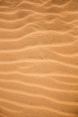 Desert