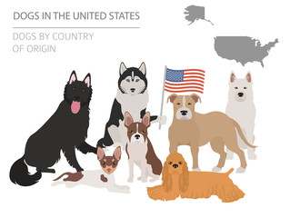 Obraz na płótnie Canvas Dogs in the United States. American dog breeds. Infographic template