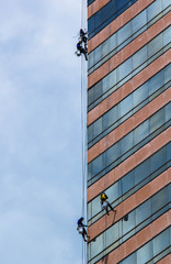 Fototapeta na wymiar workers cleaning windows service