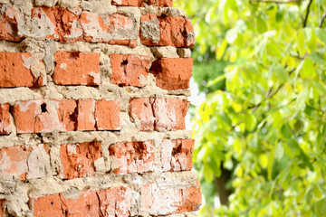 Horizontal brick wall half blurred green leaves