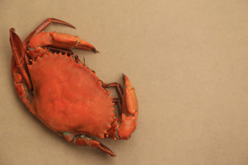 Big steamed crabs on natural brown background with copy space.