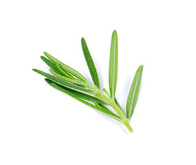Rosemary isolated on white background top view