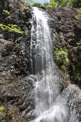 日本の山の中の滝