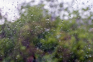 Wet home window with raindrops Trees behind a wet window