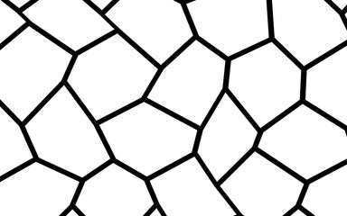 Black and White Irregular Mosaic Template