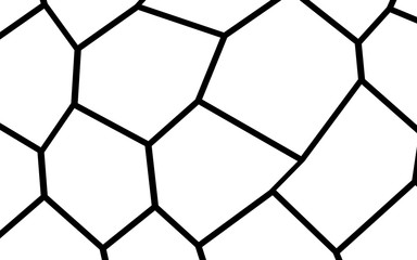 Black and White Irregular Mosaic Template