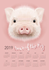 Pig calendar for 2019. Vector editable template with concept. Symbol of the year in the Chinese calendar.