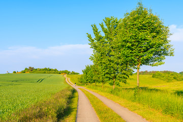 Fototapeta na wymiar Cycling route in green fields to Moritzdorf village, Ruegen island, Baltic Sea, Germany