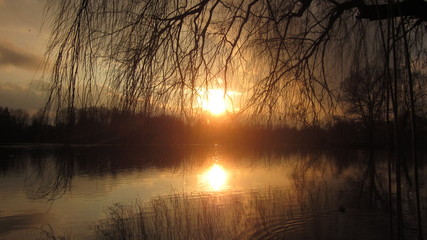 High contrast photograph of a sunset over a lake seen through the branches of a weeping willow