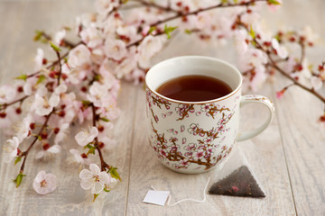 Obraz na płótnie Canvas A mug of tea with tea bags surrounded by flowering branches. Flowering branches of apricot tree and a mug of apricot tea create a coziness in the spring season.