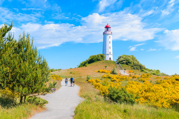 Path to Dornbush lighthouse in spring landscape with flowers on northern coast of Hiddensee island, Baltic Sea, Germany © pkazmierczak