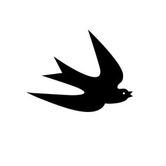 The outline, the shadow of a swallow in flight. Logo, symbol, sign, laser cutting path.