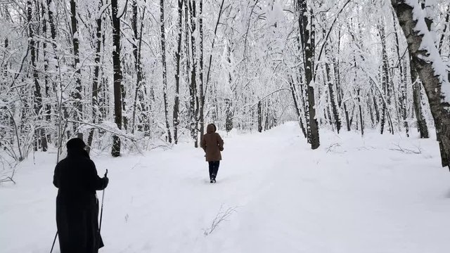 Women walking in the forest by the path after snowfall