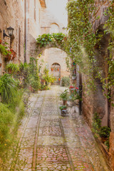 Front view of an old street decorated with many pots of plants and flowers. Spello. Umbria, Italy.