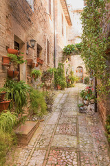Fototapeta na wymiar View from oblique of flower street in Spello. Italy.