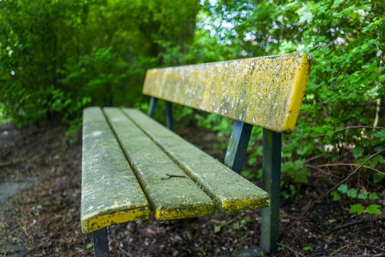A bench in the Stadtpark in Wilhelmshaven, Germany.