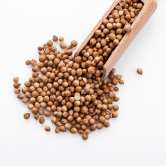 fragrant coriander seeds on a white background