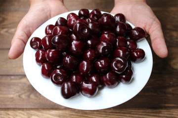 Organic ripe cherry in female hand