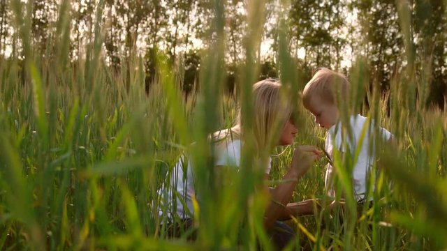 Loving mother and son in the field to communicate and hug, the sun's rays illuminate the hair. Happy family
