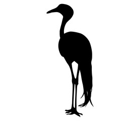 Obraz premium Silhouette bird crane on a white background