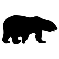 Silhouette polar bear on a white background
