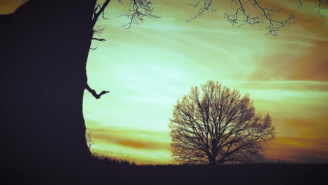 At sunset there is a grim Reaper