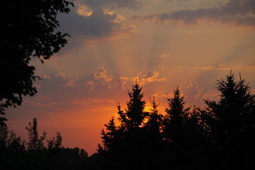 Sonnenuntergang Elisabethaue