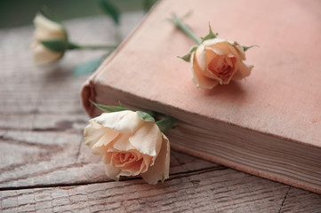rose as a bookmark in the book