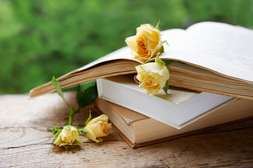 several yellow roses between pages of a book on the background of foliage