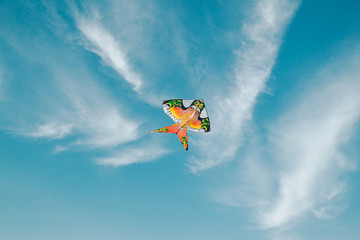  kites