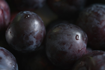 closeup of freshly washed big plums in a steel bowl