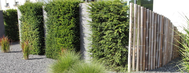 moderner Vorgarten 1